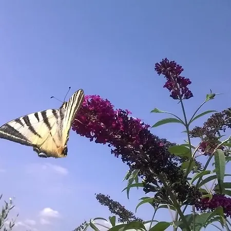 La Casetta Oda ve Kahvaltı Villaromagnano
